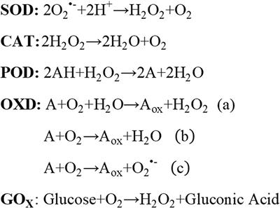 Nanozymes in Tumor Theranostics